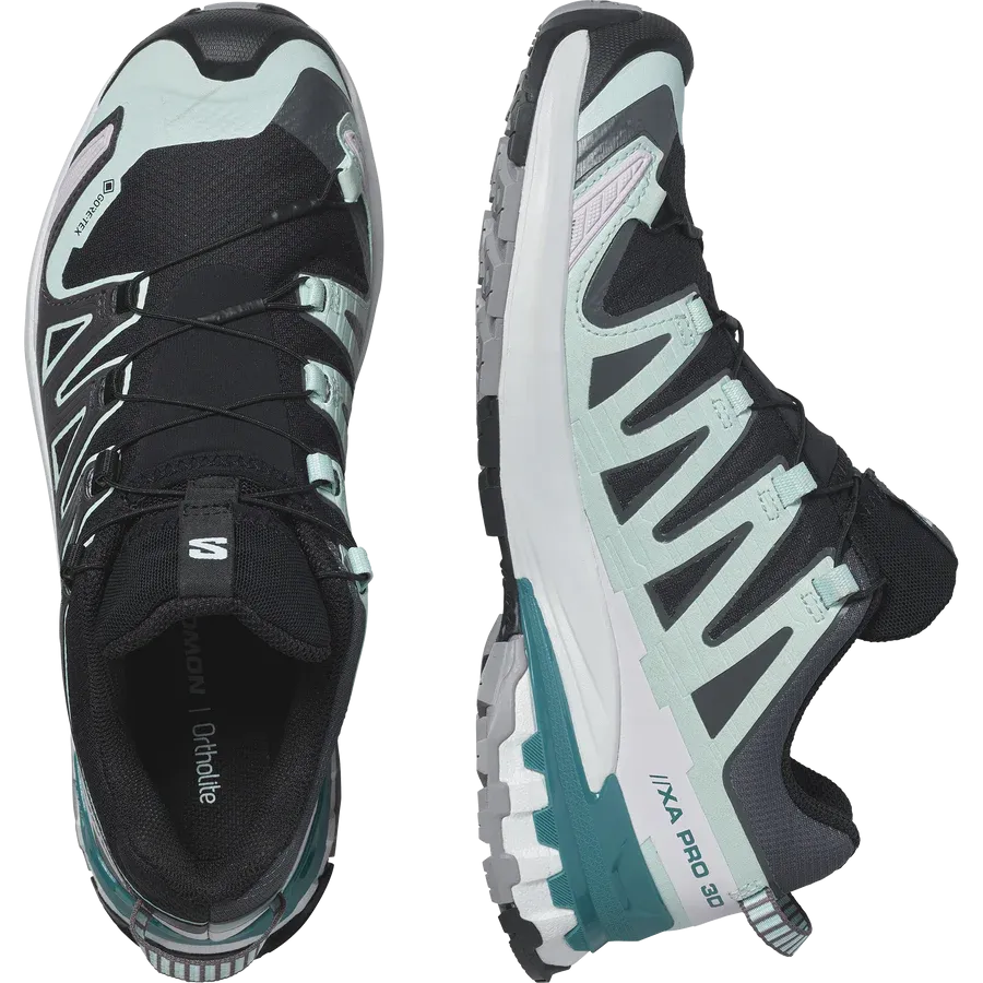 Salomon Women's XA Pro 3D V9 Gore-Tex Trail Running Shoes